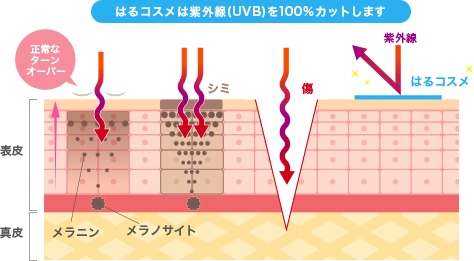 はるコスメは紫外線(UVB)を100%カットします